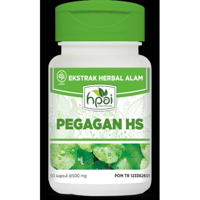 HNI HPAI PEGAGAN HS