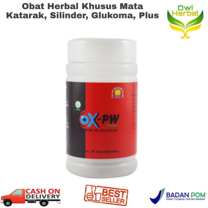 PENJERNIH MATA TERLARIIISS