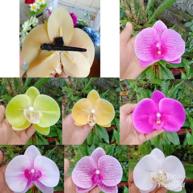 Jepit bebek anggrek bulan jumbo