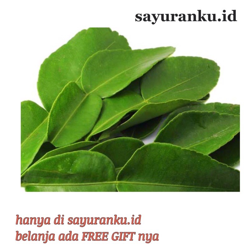 

daun jeruk 25 gram sayur segar sayuran fresh pasar murah pasar jakarta