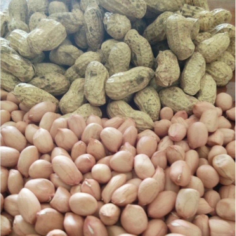 

kacang tanah kupas manual/tangan