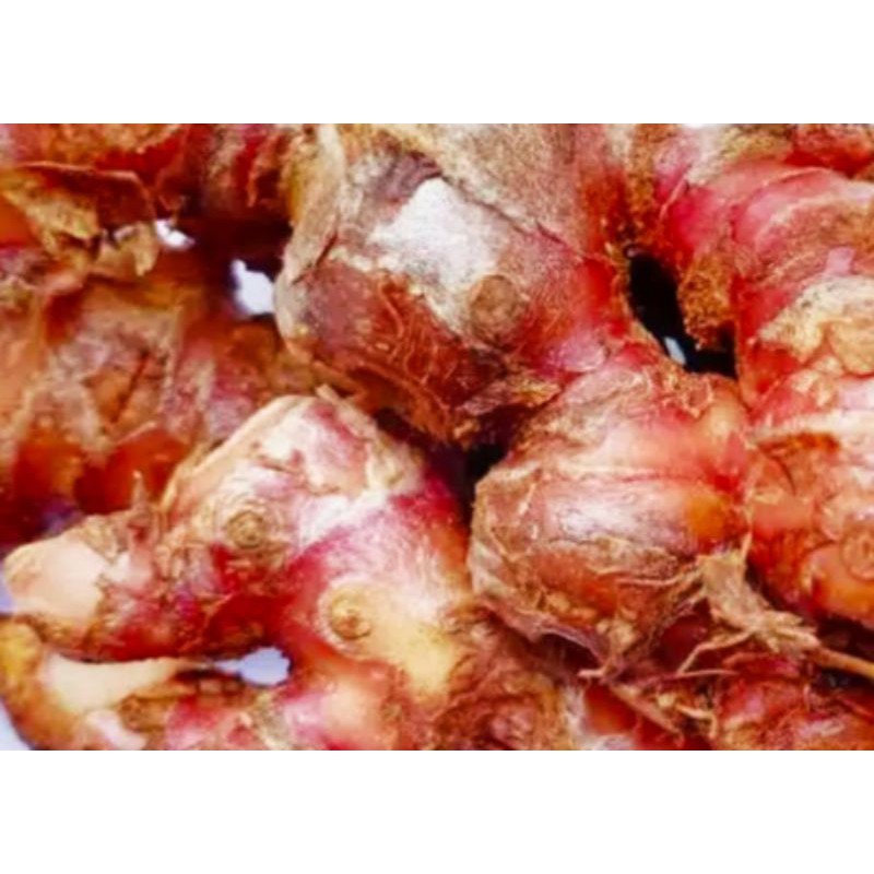 

Sayur Segar - Jahe Merah 250 gr