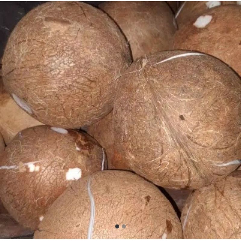 

buah kelpa sudah di kupas per 1 buah