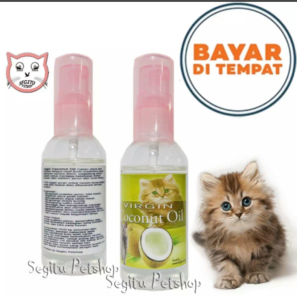 Obat kucing vitamin kucing Extra Virgin oil untuk kucing scabies jamur koreng