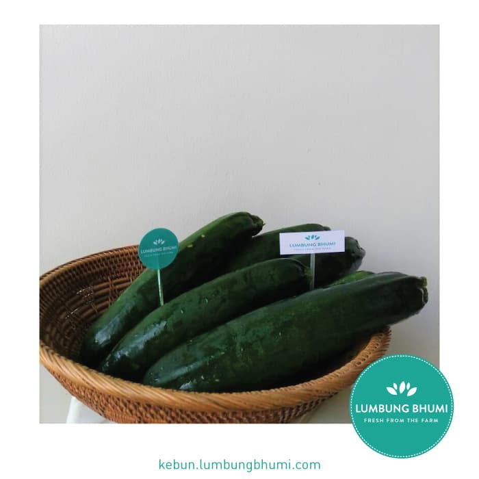 

TERMURAH ZUKINI - ZUCCHINI ( SAYUR - SAYURAN CURAH ) !