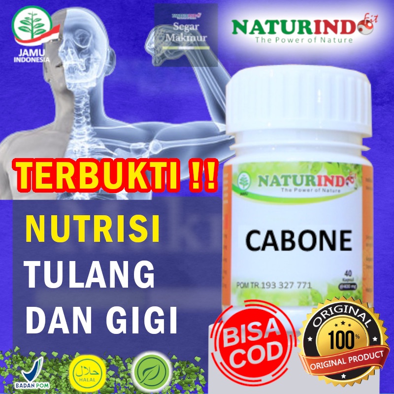 Cabone Naturindo Obat Herbal Kapsul Jamu Alami Obat Tulang Patah Perekat Tulang Nutrisi Tulang Obat 