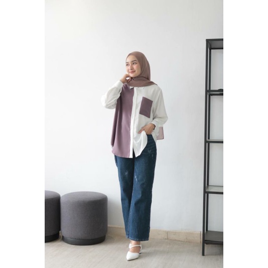 MOLLI BASIC -+ (ld106 pjg 68)