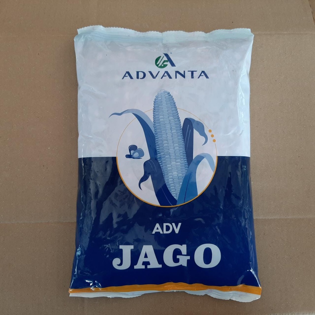 Benih Bibit Jagung Hibrida ADVANTA ADV JAGO Kemasan 1 Kg