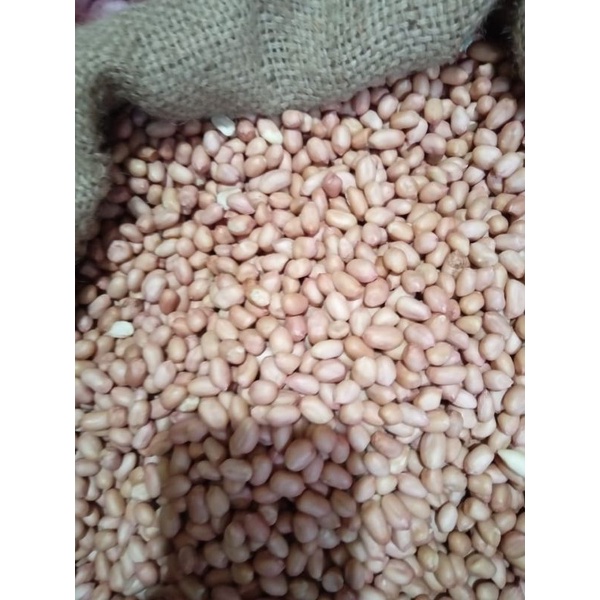 Kacang Tanah Putih / Kacang Tanah India / peanut (500 gram)