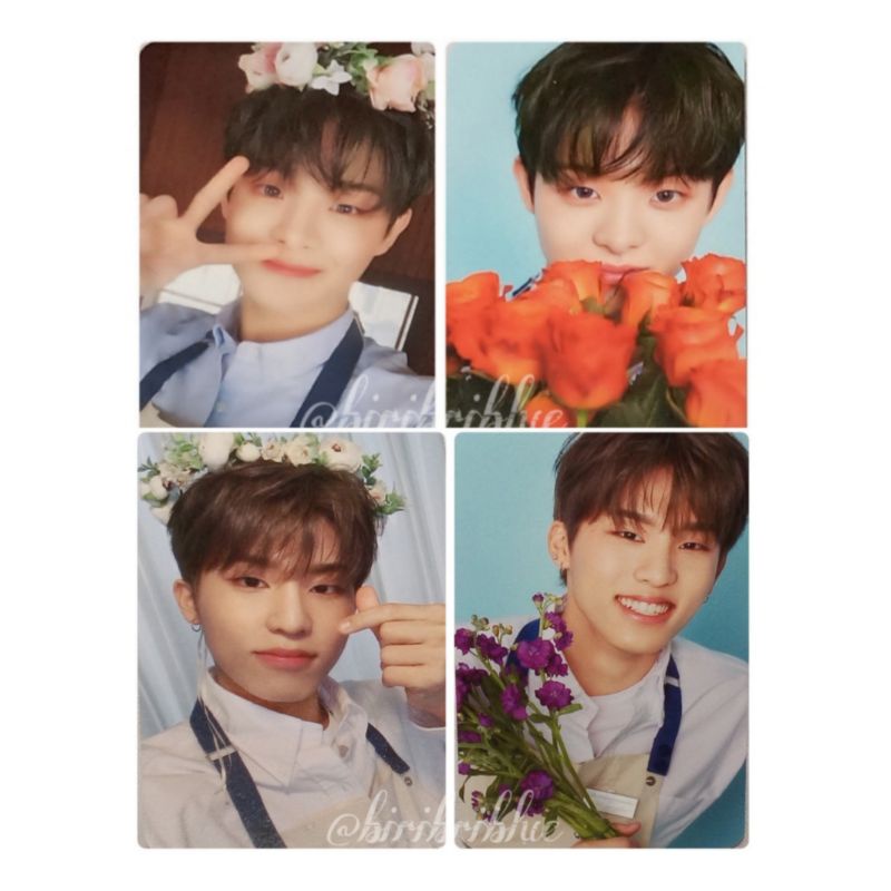 Photocard MD Blooming Jihoon Jeongwoo Treasure