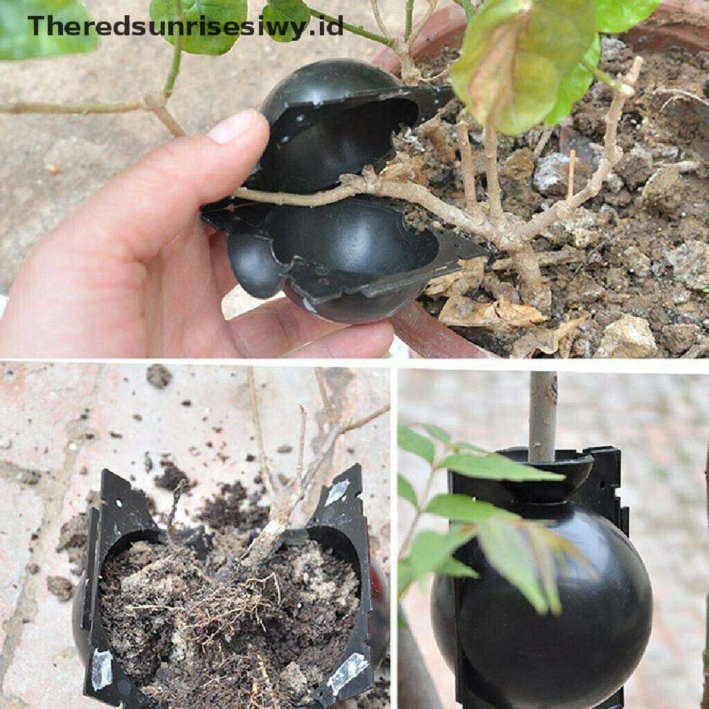 (Theredsunrisesiwy.Id) Bola Propagasi Tanaman Tekanan Tinggi Ukuran 5-12cm