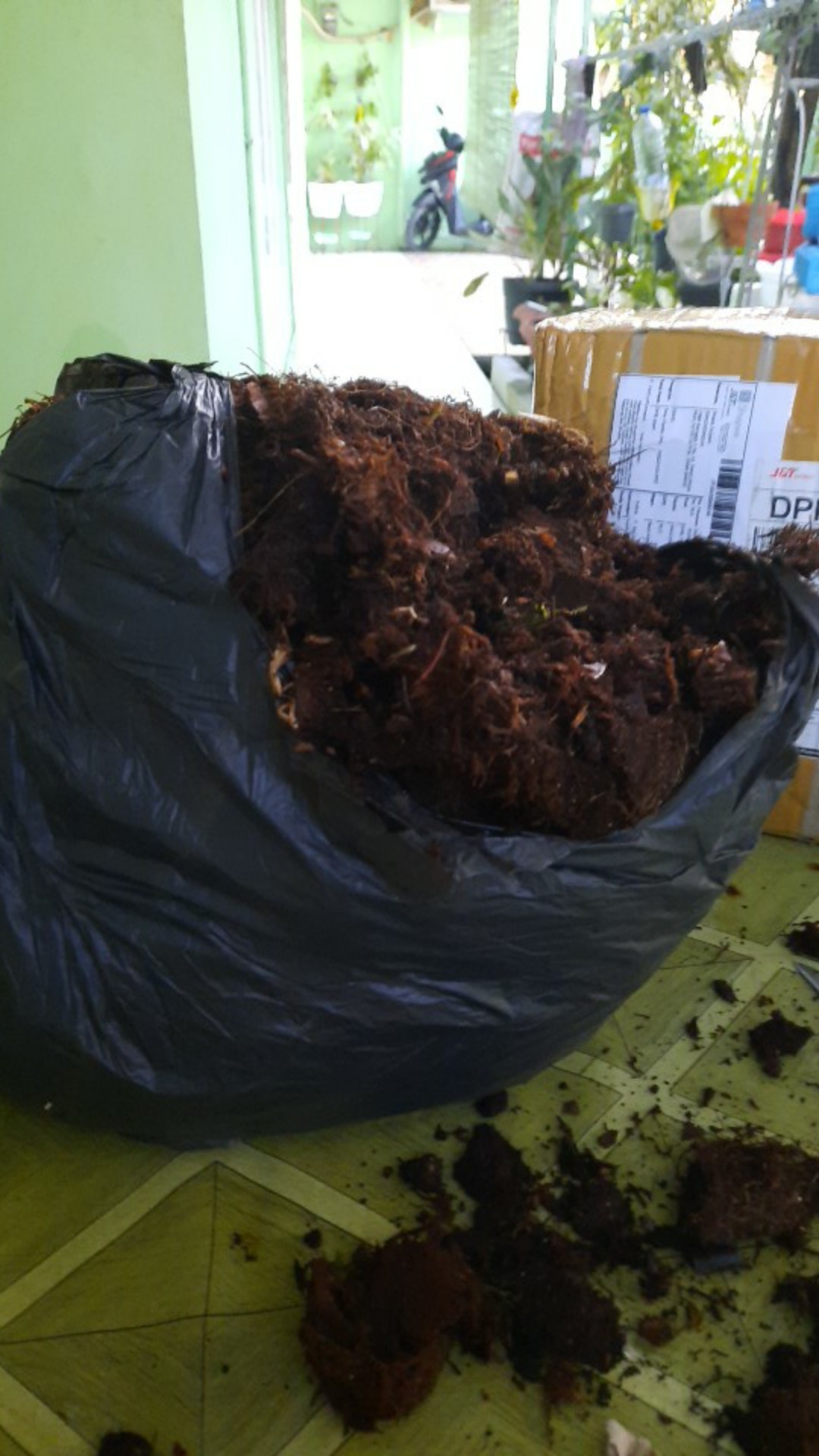 Akar Kadaka Murah Jual Akar Kadaka (media Tanam Anggrek) 1 Kg Jual Produk Akar Kadaka Murah Dan Terl