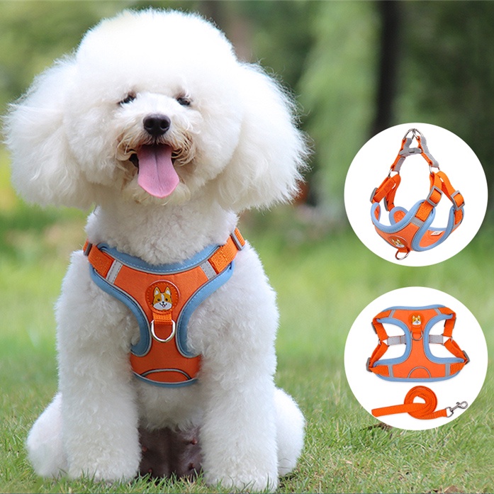 Set Rompi Harness Dan Tali Tuntun Bahan Stainless Steel Untuk Anjing / Kucing