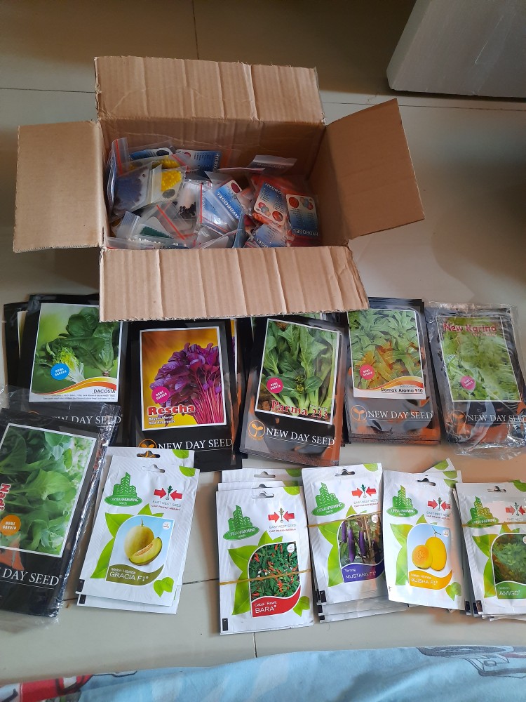 Benih New Day Seed Selada Karina