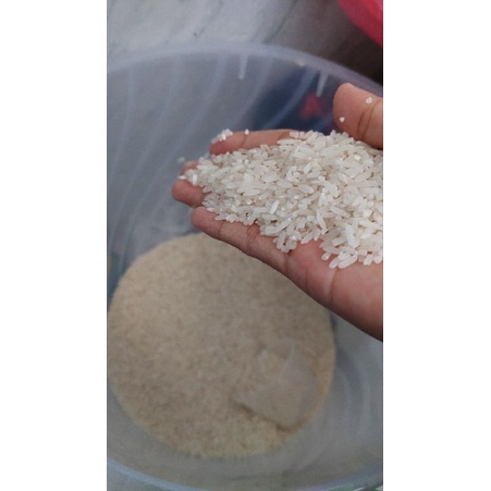 

promo termurah beras putih murah asli dari petani langsung
