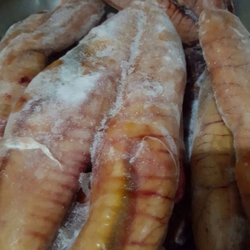

Telor Ikan Premium