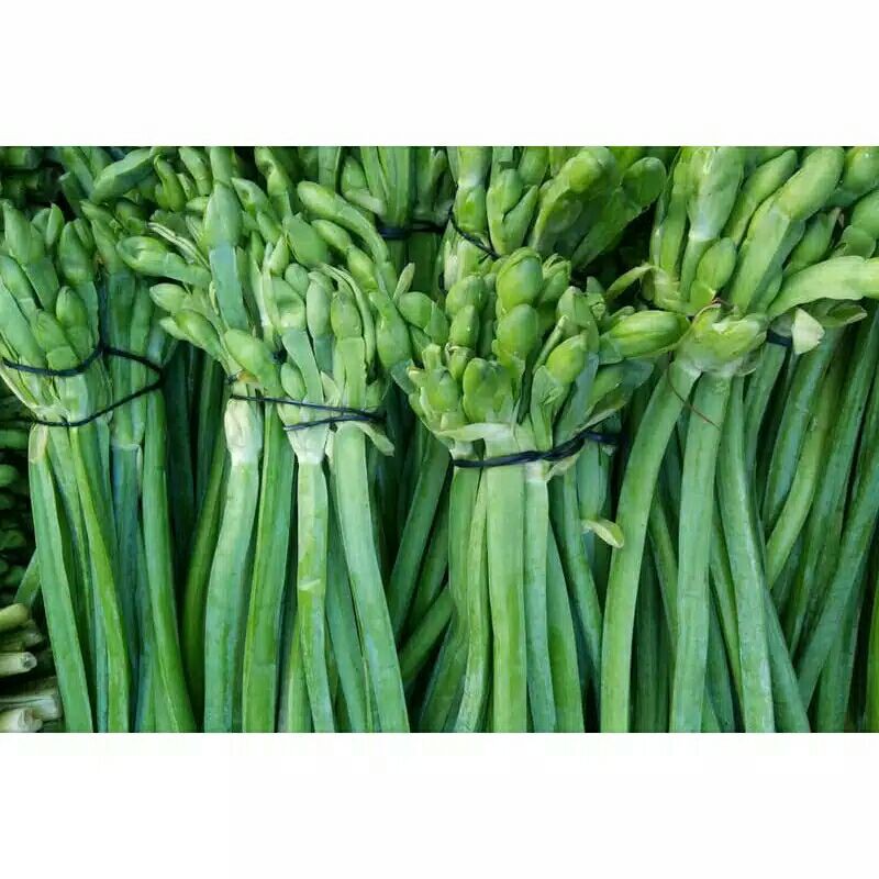 

SAYUR GENJER(1IKET)