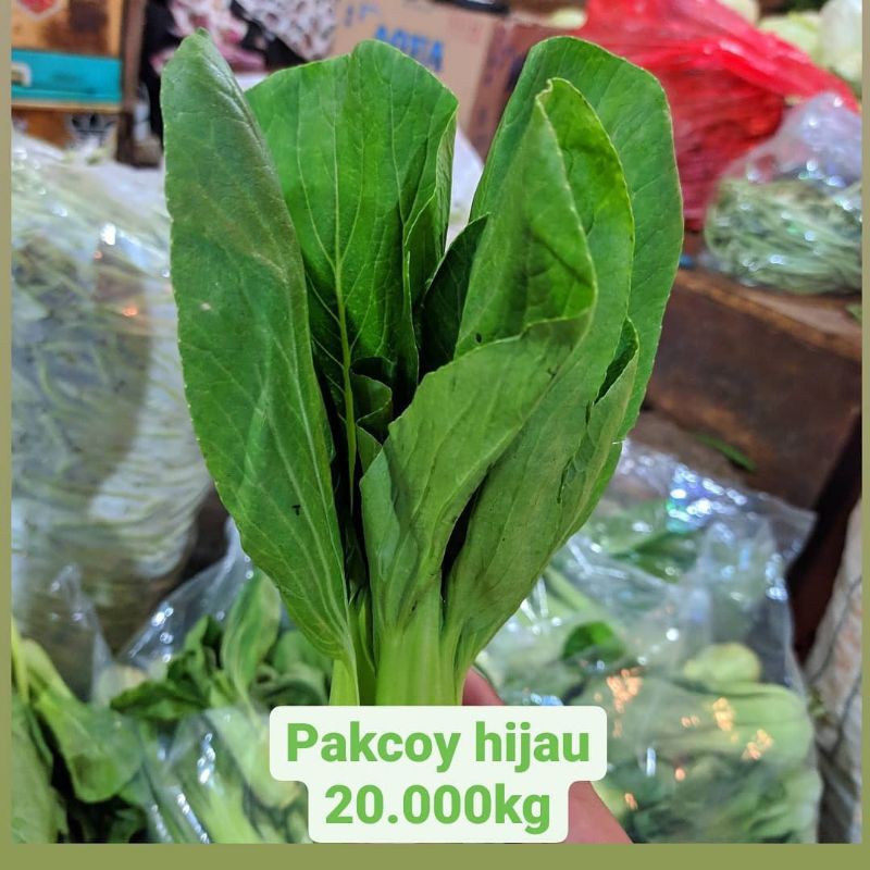 

Daun pakcoy/pokcoy 1kg