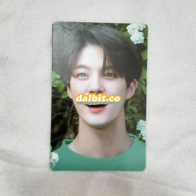 NCT DREAM A PRECIOUS MOMENT PHOTOCARD (JENO)