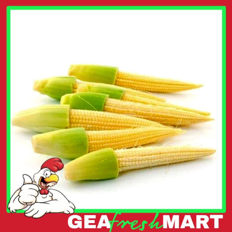 

Jagung muda/semi 250gr