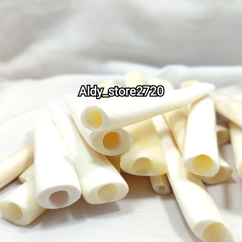 PIPA ONCE TULANG SAPI ASLI ORIGINAL