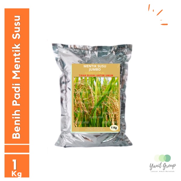 Benih Padi Mentik Susu Membramo 1 Kg