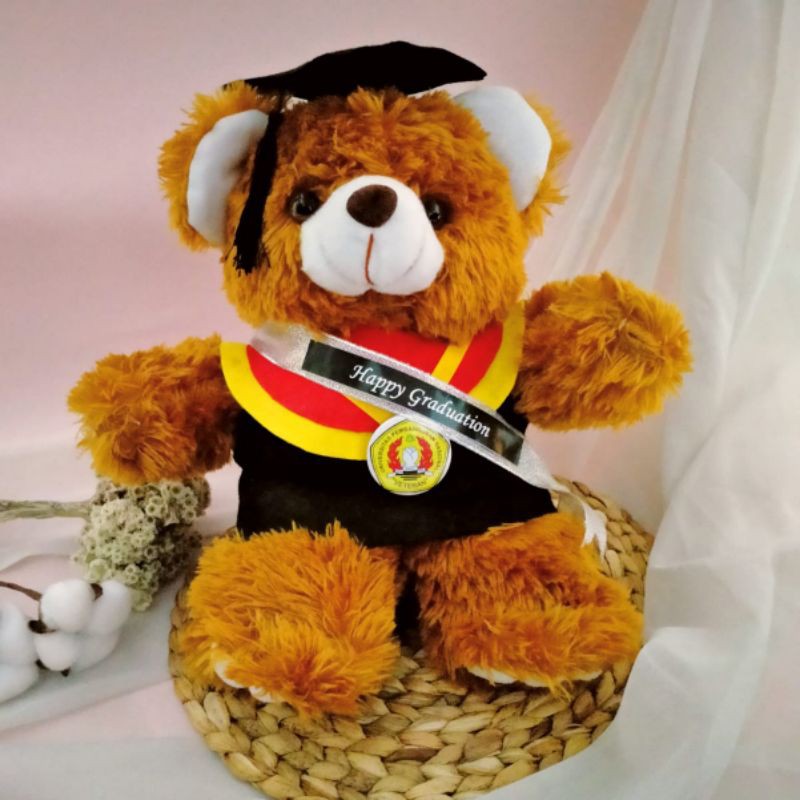 BONEKA WISUDA TEDDY BEAR 30CM + SELEMPANG