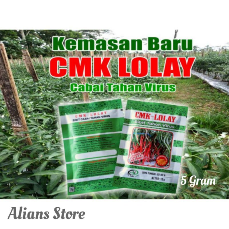 BENIH BIBIT CABE CABAI CMK LOLAY ANTI VIRUS KERITING PALING UNGGUL ASLI ORIGINAL TERBAIK TERLARIS