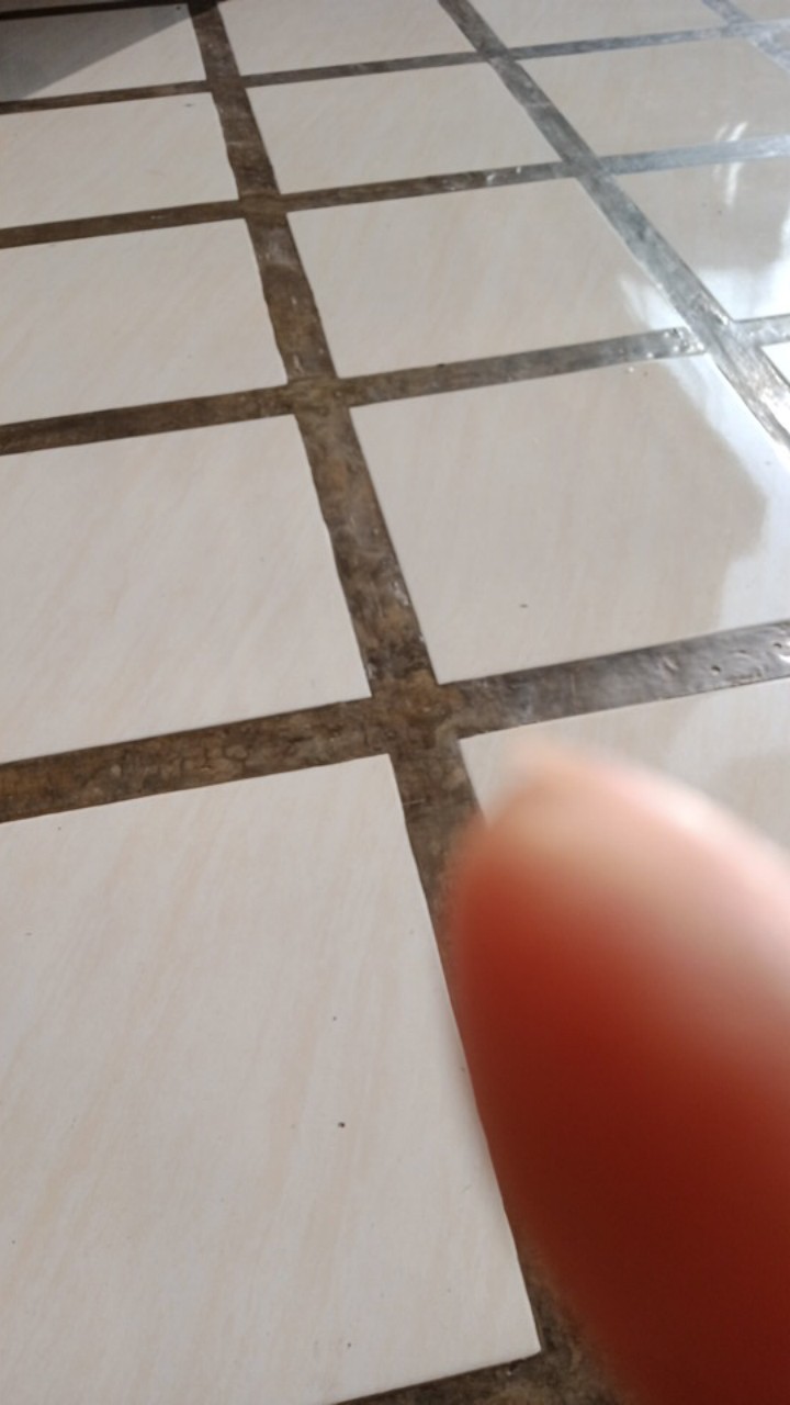 Preset Lightroom Termurah