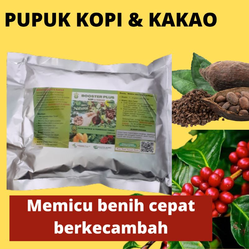 Pupuk Booster Agar Buah Kopi Lebat, Pupuk Untuk Melebatkan Buah Kopi