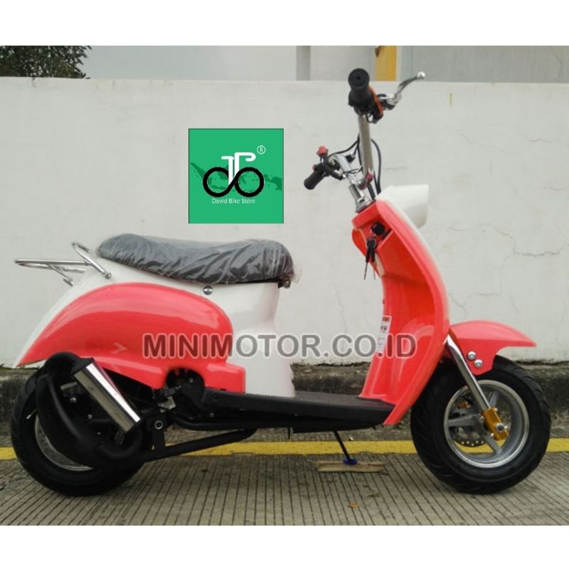 Mini Motor Scoopy 49cc