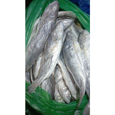 

ikan asin sangge Medan murah 250grm