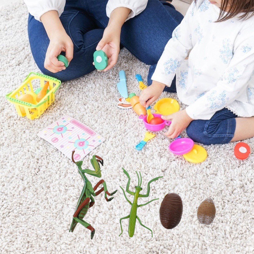 Lanfy Mainan Miniatur Siput Untuk Edukasi Dini Anak