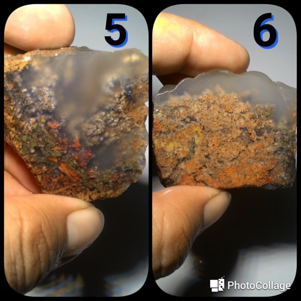 BARANG SUPER !!! LUMUT AQUARIUM TRENGGALEK KWALITAS KONTES BAHAN SUPER #3