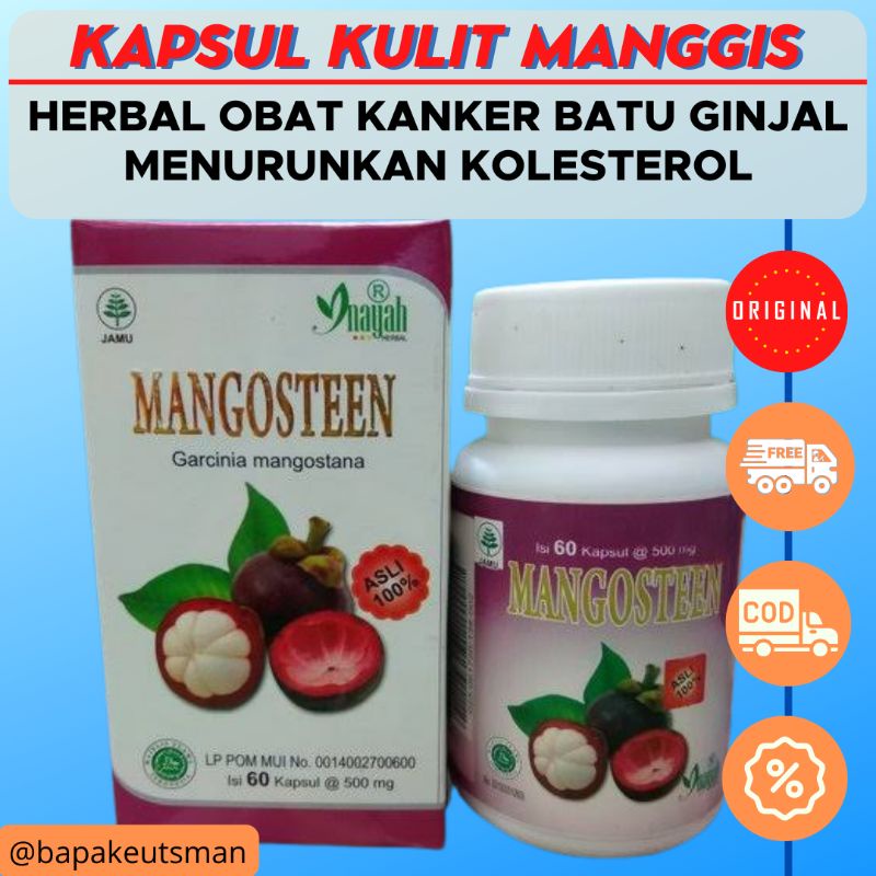 HERBAL OBAT KANKER BATU GINJAL LEUKIMIA TEKANAN DARAH TINGGI - KULIT MANGGIS KAPSUL INAYAH ORIGINAL