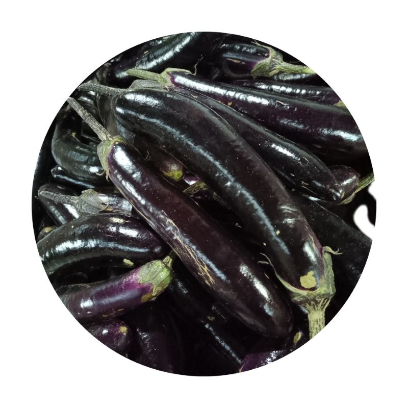 

Terong Ungu Fresh 500 gram