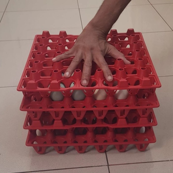 Tempat Telur Plastik Tray 30 butir Rak Telor Plastik Egg Tray