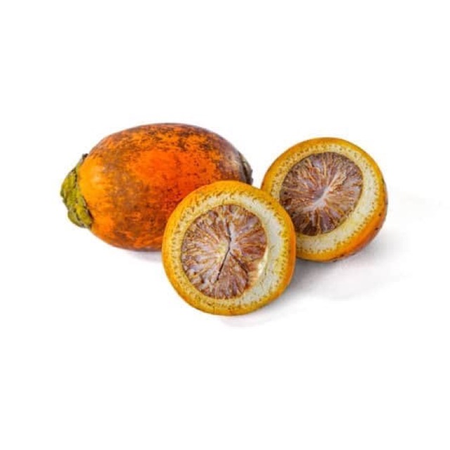 

Buah pinang tua 1 kg