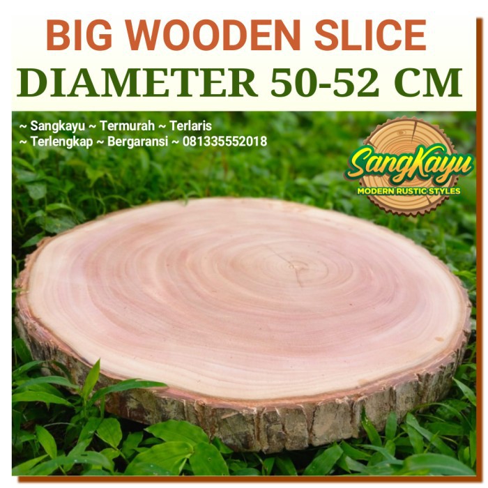 BIG SIZE WOOD SLICE 50-52 CM POTONGAN KAYU ALAMI BESAR TALENAN BESAR