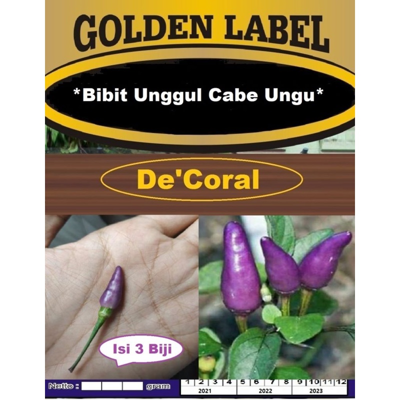 Bibit Unggul Cabe Ungu|Benih Cabe Purple|Bibit Cabai Ungu|Cabe Jepang