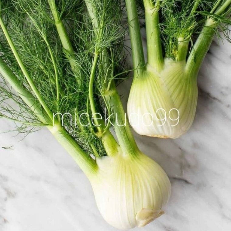 

FENNEL FRESH SEGAR 500GR / SAYUR ADAS FENEL PENEL
