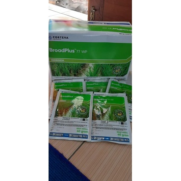 broadplus 77 wp