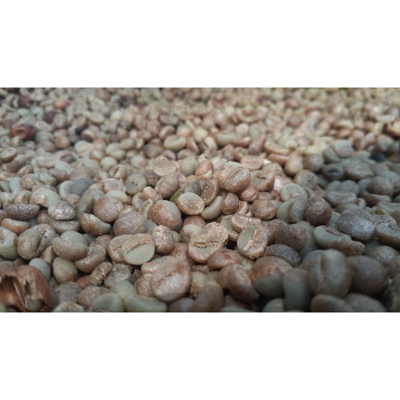 

biji kopi robusta