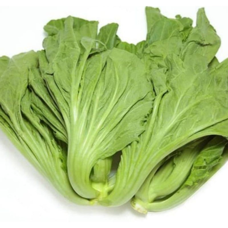 

Sawi Pahit/ Sawi Asin 500 gram