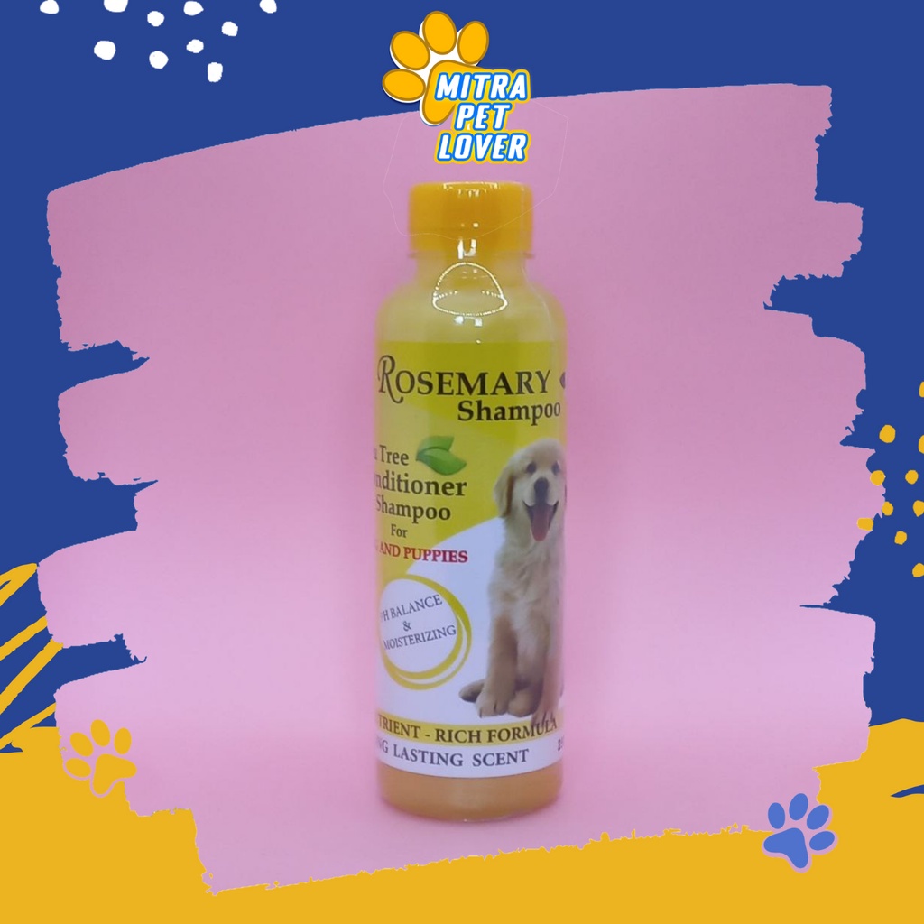 SHAMPO ANJING WANGI - ROSEMARY DOG SHAMPOO ANJING 250ML ORIGINAL - SAMPO DENGAN PH BALANCE MOISTERIZING CONDITIONER AMAN LEMBUT MURAH BAGI DOGGY PUPPIES - PET ANIMAL HEALTHCARE VETERINARY TAMASINDO OBAT DAN VITAMIN HEWAN BINATANG PELIHARAAN MITRAPETLOVER