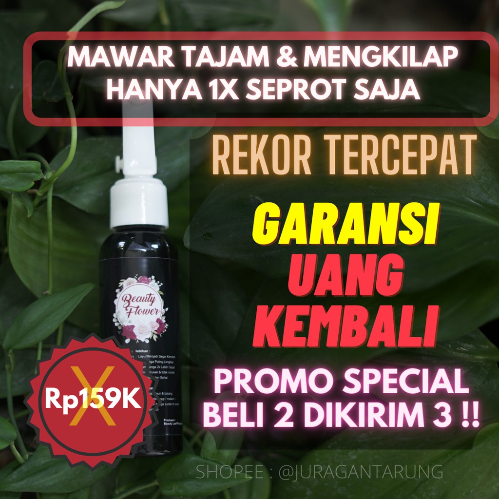 Pupuk Bunga Mawar,Pupuk Bunga Mawar Cair,Pupuk Bunga Mawar Semprot,Pupuk Bunga Mawar Grow,Pupuk Bung