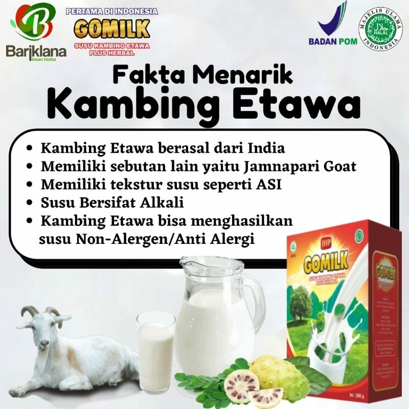 

susu kambing etawa GOMILK