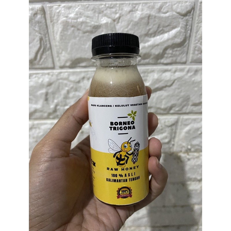 

MADU ASLI KALIMANTAN MADU KELULUT ATAU MADU KLANCENG 100ml