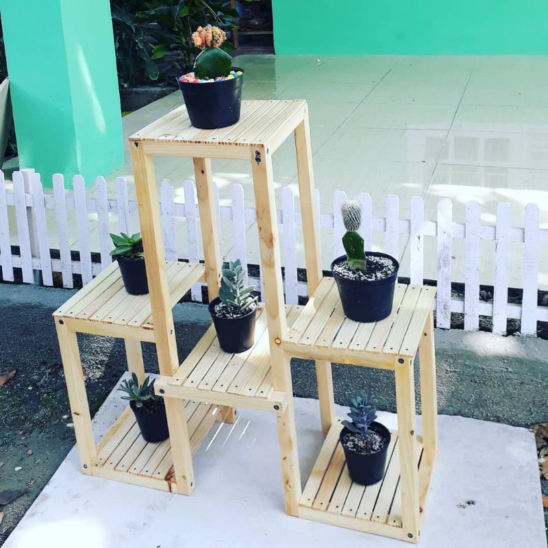 rak tanaman kayu jati belanda