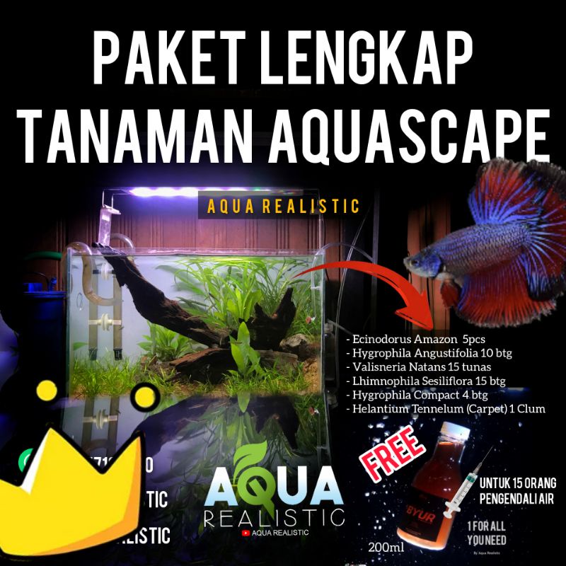 Jual Paket lengkap Tanaman Aquascape Low Co2 4550cm Shopee Indonesia